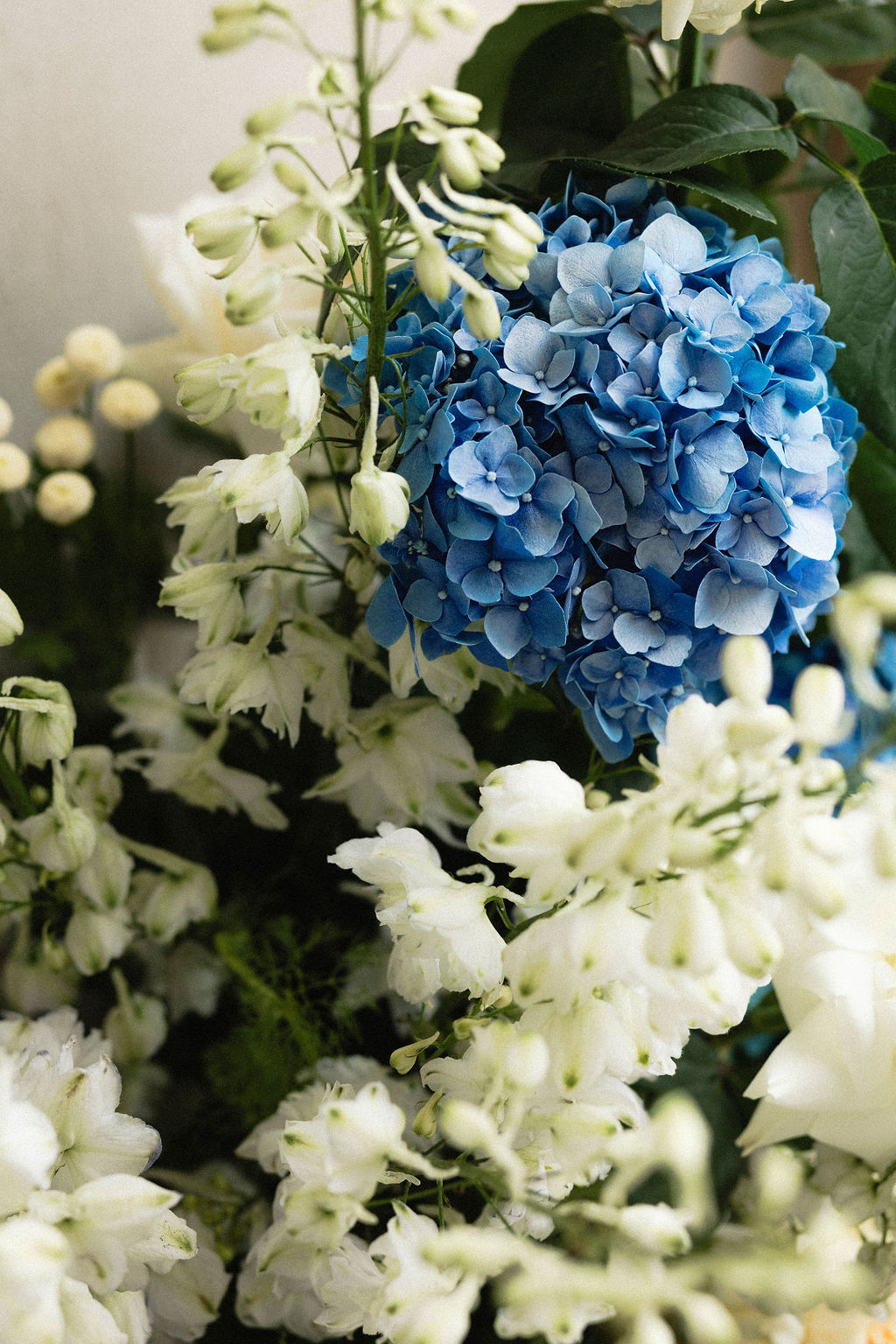 Photograph by Tash Mohring of Blue and white Floral arrangement by Bloomin Bridal for The Modern Approach wedding at LLoyd Brothers Winery, Mclaren Vale