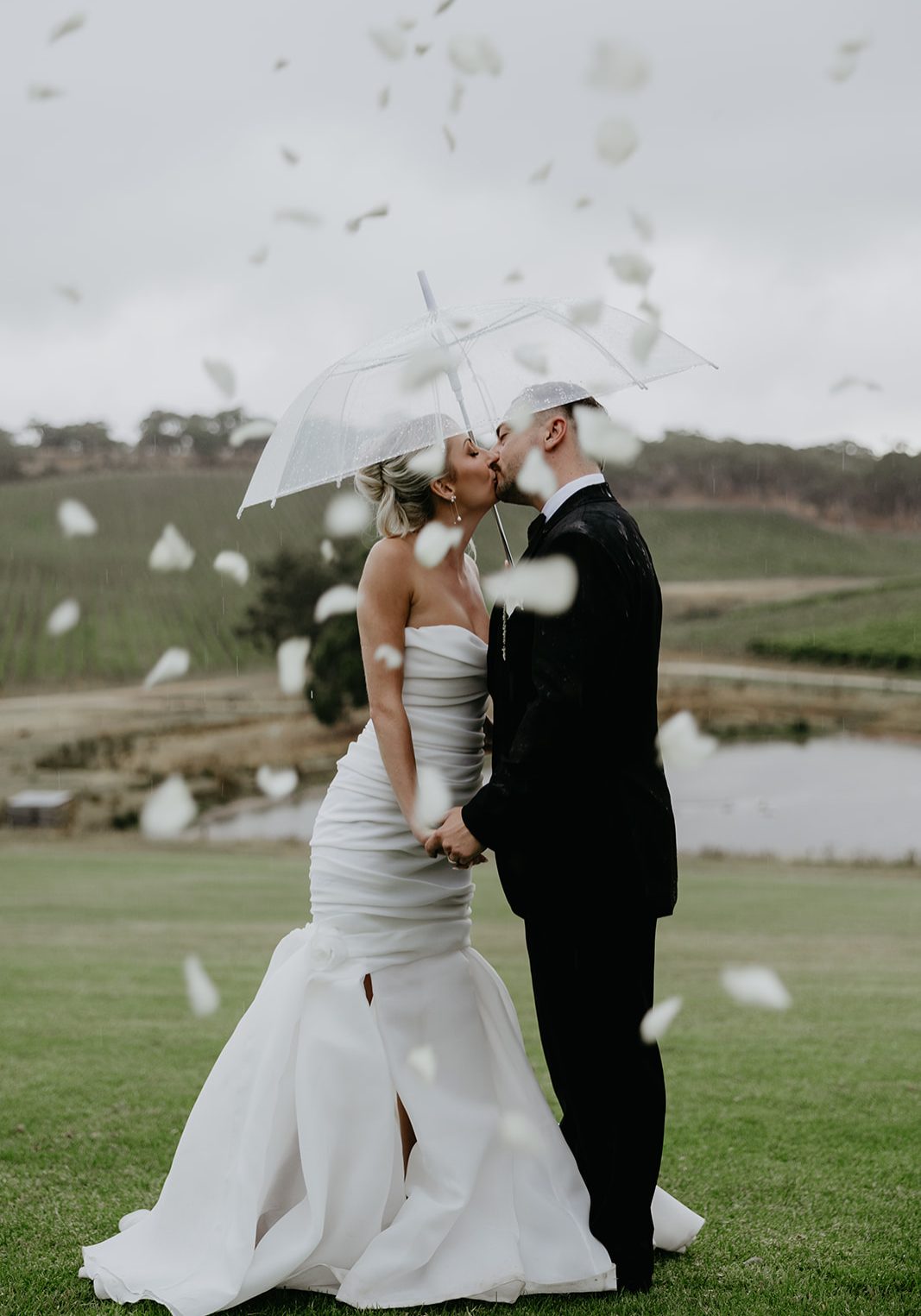 Bride and groom kissing under clear umbrella with rose petals floating in air at Longview Vineeyard